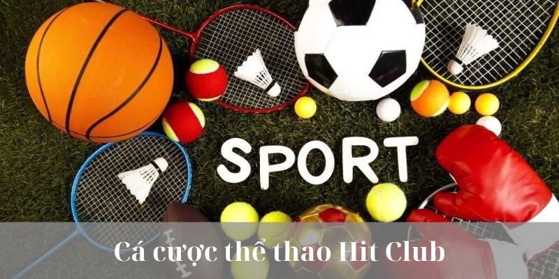 Giới thiệu về cá cược thể thao Hit Club